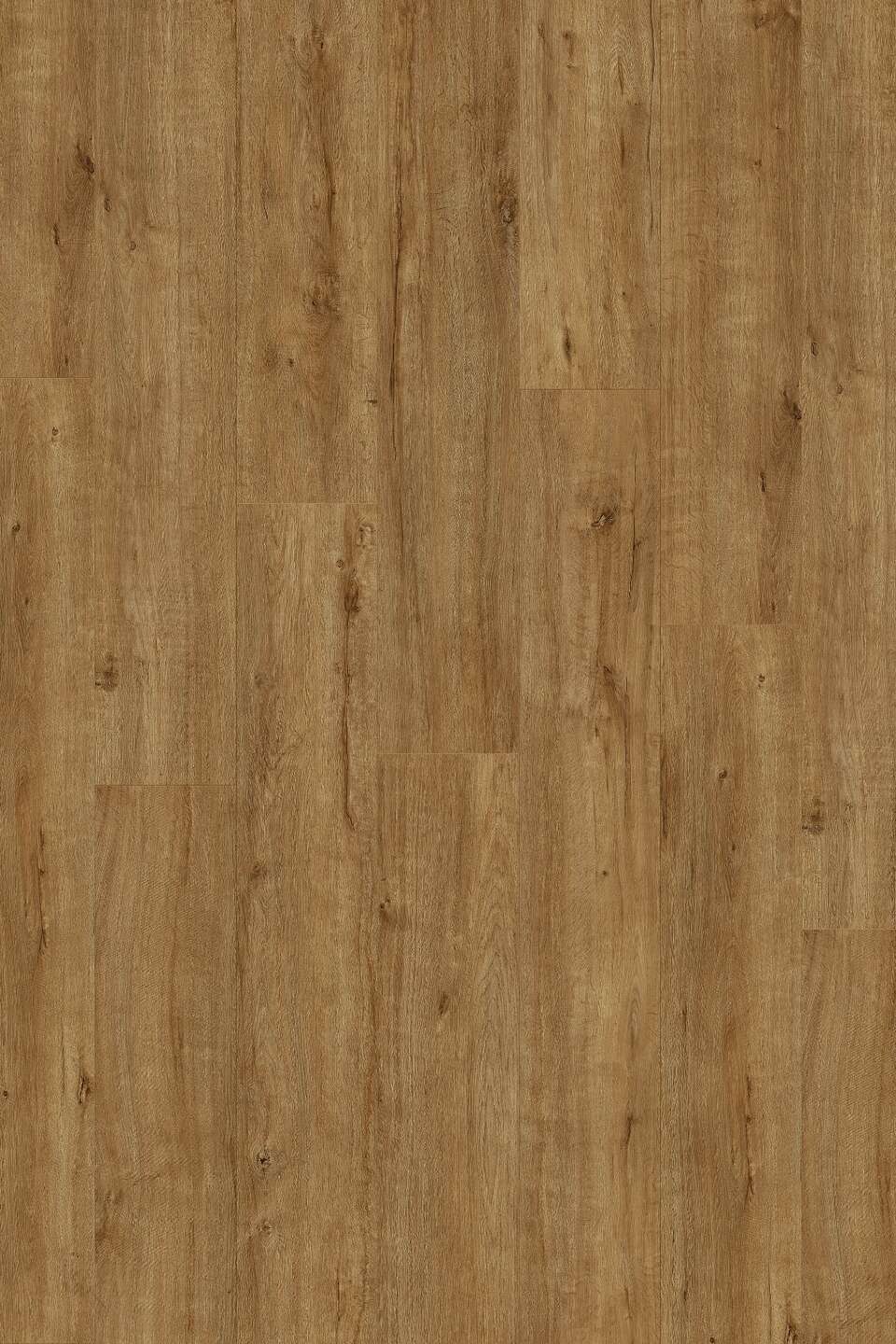 Parchet SPC SUPER NATURAL K633 Gold Apollo Oak