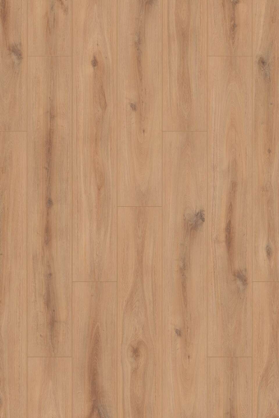 Parchet SPC CLASSIC K230 Golden Vista Oak