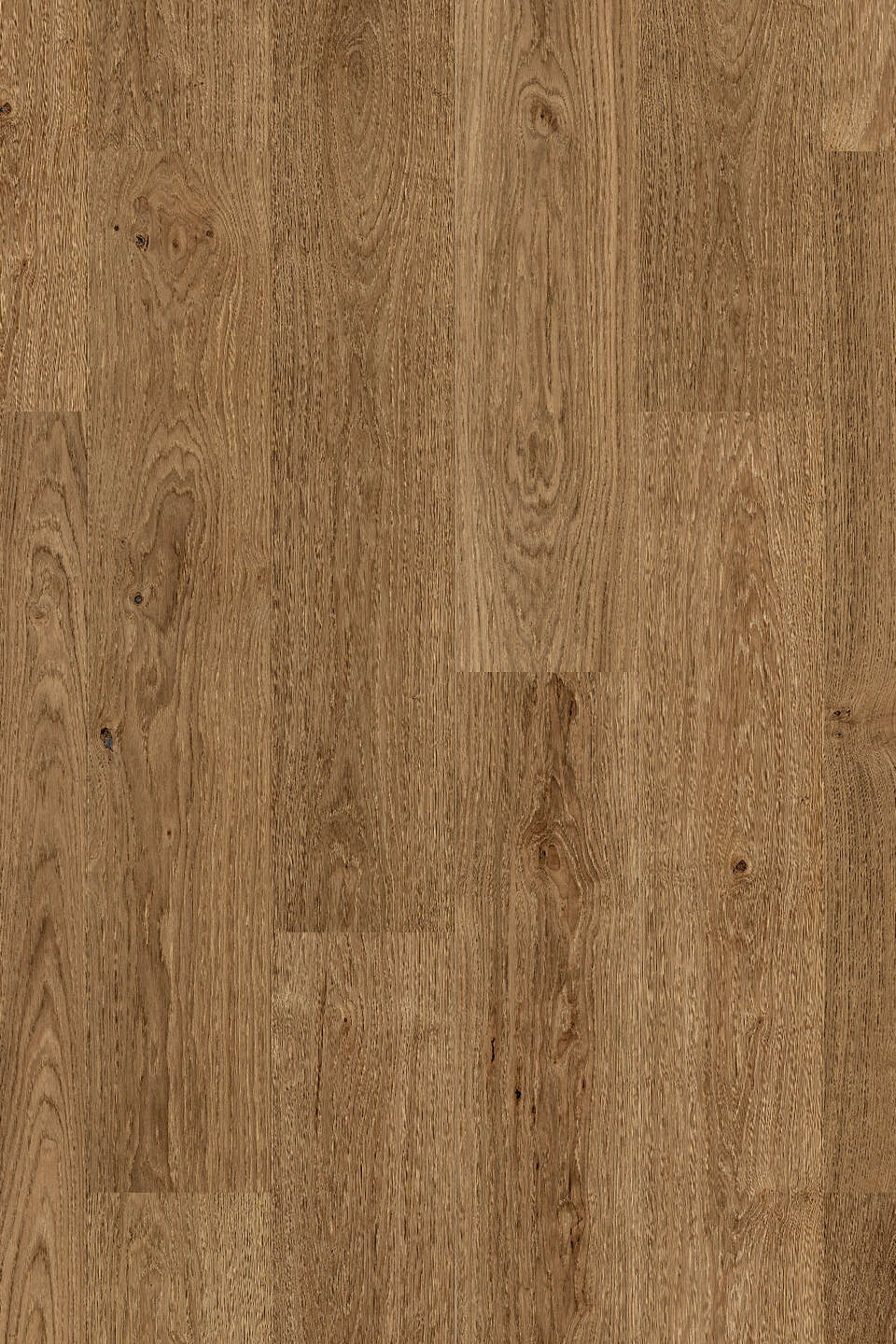 Parchet SPC TOUCH O943 Oak Alhambra